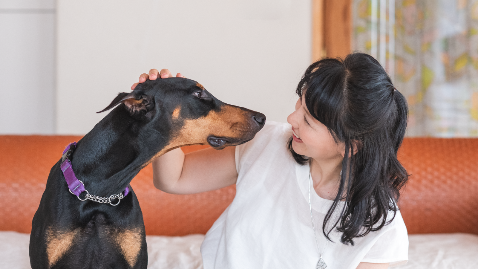 Emily's Lab.｜犬と猫の自然療法研究所エミリーズラボ | 「一日でも