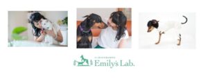 Emily's LAbチャンネル 情報発信サイト